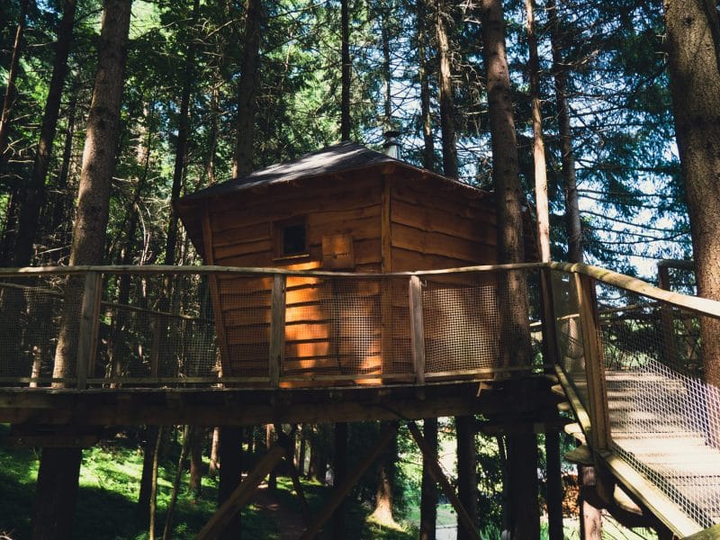 Cabane dans les arbres, en bois, perchée au milieu dune forêt verdoyante.