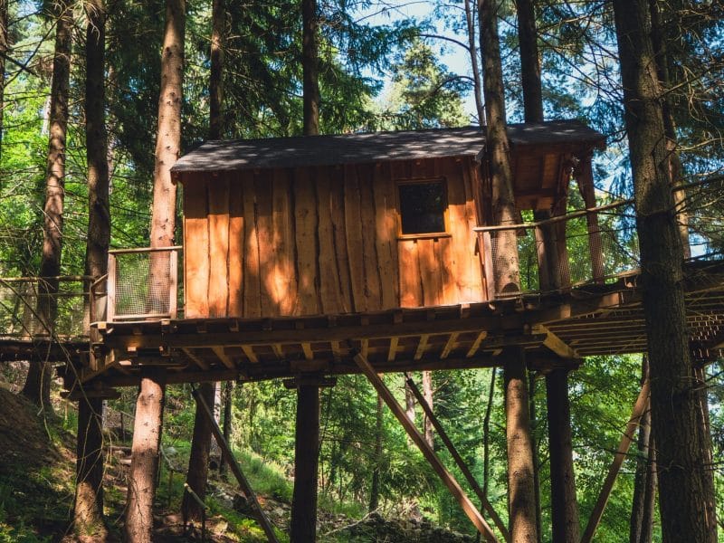 Cabane dans les arbres en bois, perchée au milieu dune forêt verdoyante.