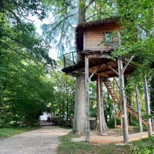 Cabane perchée dans les arbres, entourée de verdure, offrant une vue apaisante.