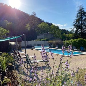 Hébergement insolite en Auvergne-Rhône-Alpes avec piscine et fleurs violettes.