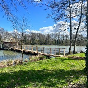 Cabane sur pilotis au bord dun lac, entourée darbres et dun ciel bleu.