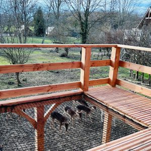 Cabane perchée en bois avec un sol en filet, vue sur un jardin verdoyant.