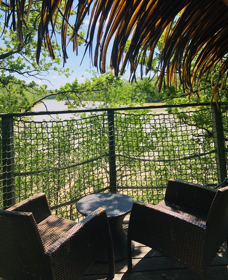 Cabane perchée en Auvergne-Rhône-Alpes, avec vue sur la nature verdoyante.