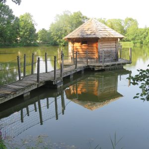 Cabane sur pilotis au bord dun lac, entourée de verdure paisible en Auvergne-Rhône-Alpes.