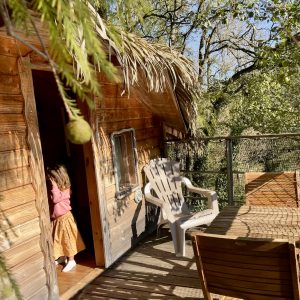 Cabane en bois perchée avec terrasse, entourée de verdure en Auvergne-Rhône-Alpes.