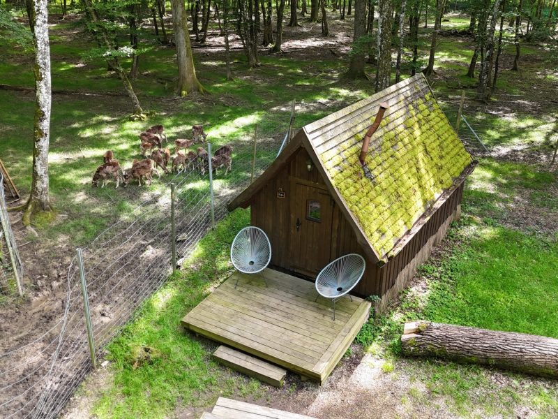 Cabane en bois avec toit végétal, entourée de verdure et de faune sauvage.
