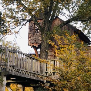 Cabane perchée dans un arbre, entourée de feuillage doré en Auvergne-Rhône-Alpes.