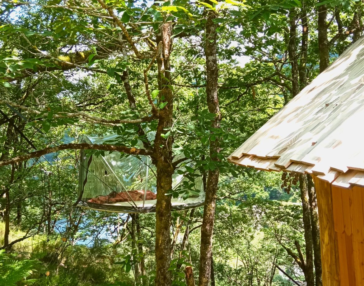 Cabane perchée dans les arbres, entourée de verdure, offrant une vue apaisante.