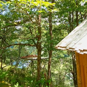 Cabane perchée dans les arbres, entourée de verdure, offrant une vue apaisante.