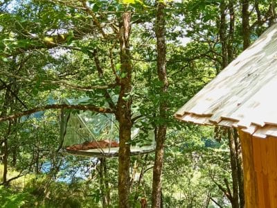 Cabane perchée dans les arbres, entourée de verdure, offrant une vue apaisante.