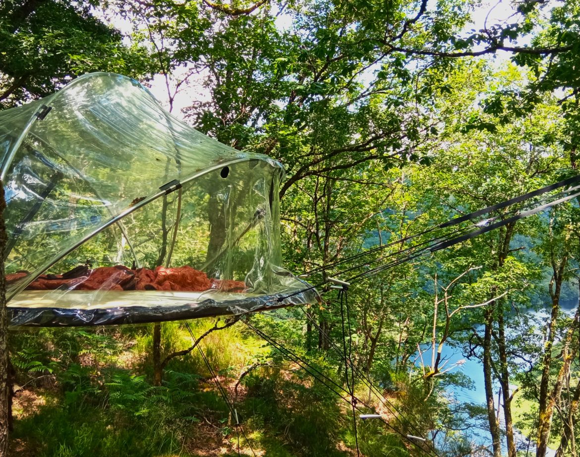 Cabane suspendue en verre dans les arbres, entourée de verdure et près dun lac.