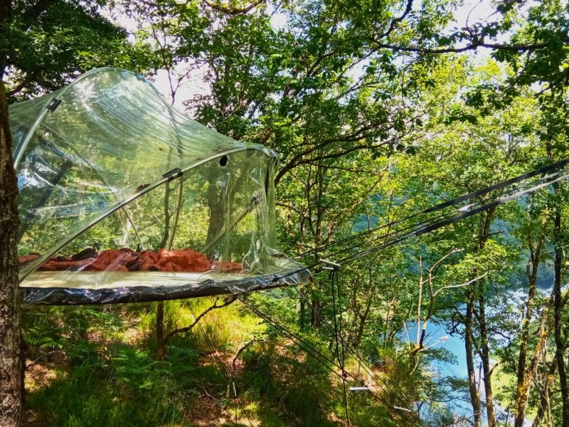 Cabane suspendue en verre dans les arbres, entourée de verdure et près dun lac.