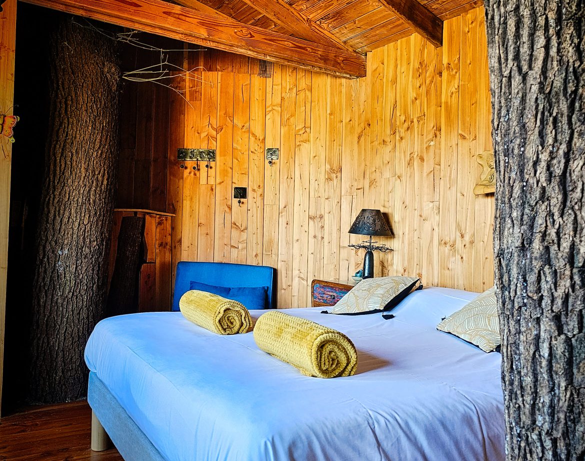 Chalet en bois dans le Limousin, avec un arbre intégré et une décoration chaleureuse.
