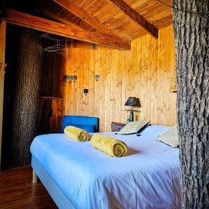 Chalet en bois dans le Limousin, avec un arbre intégré et une décoration chaleureuse.