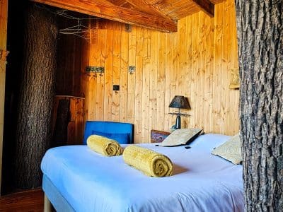 Chalet en bois dans le Limousin, avec un arbre intégré et une décoration chaleureuse.