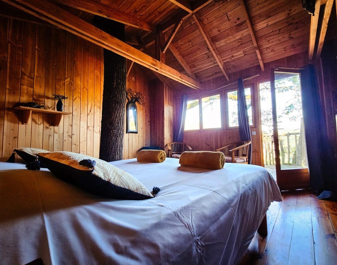 Chalet en bois à Limousin, intérieur chaleureux avec vue sur la nature.