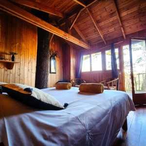 Chalet en bois à Limousin, intérieur chaleureux avec vue sur la nature.