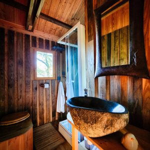 Cabane en bois à Limousin avec douche moderne et lavabo en pierre. Ambiance chaleureuse.