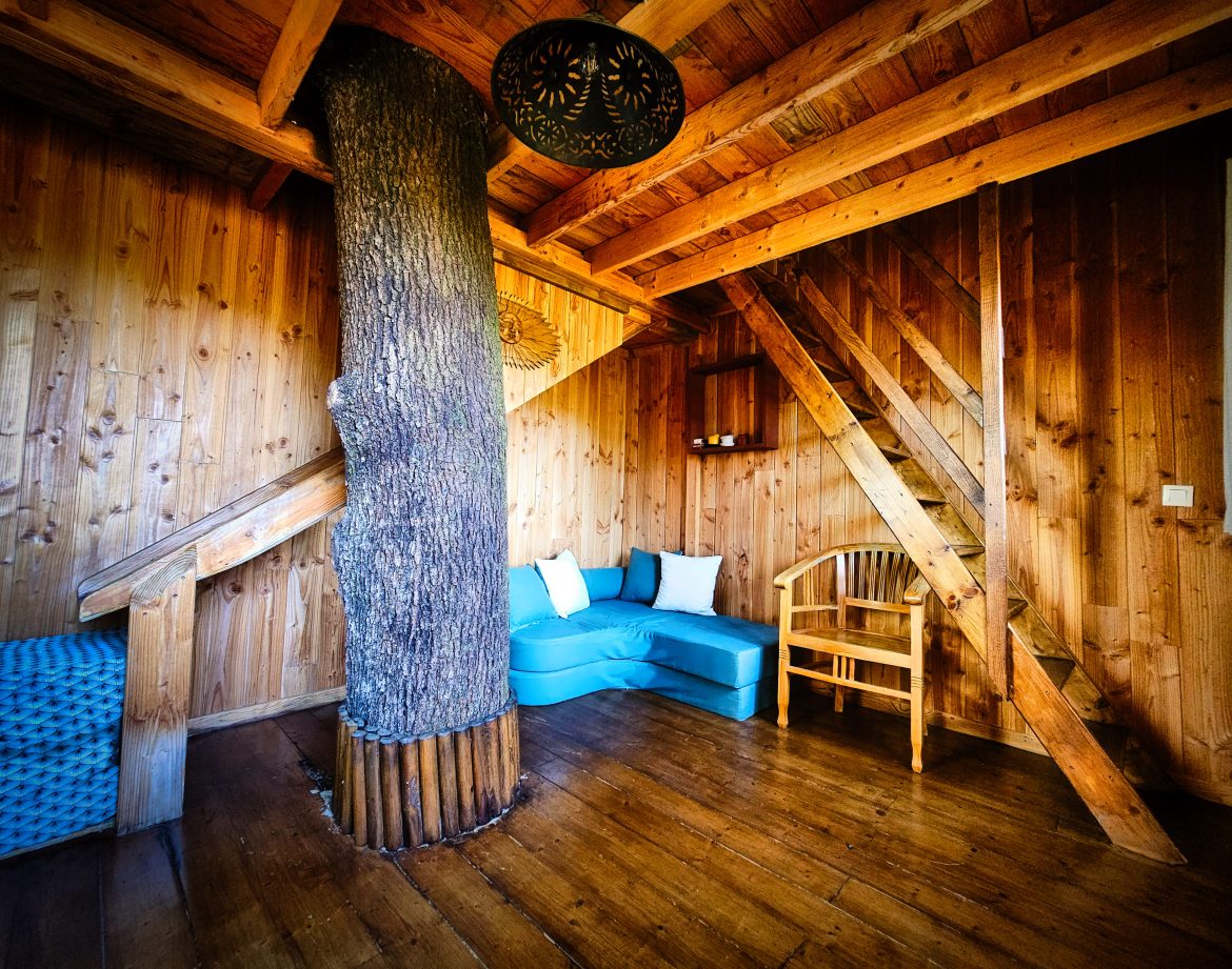 Cabane en bois dans le Limousin, avec un tronc darbre au centre et un coin salon cosy.