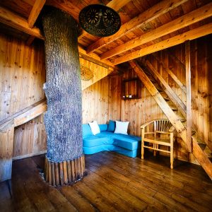 Cabane en bois dans le Limousin, avec un tronc darbre au centre et un coin salon cosy.