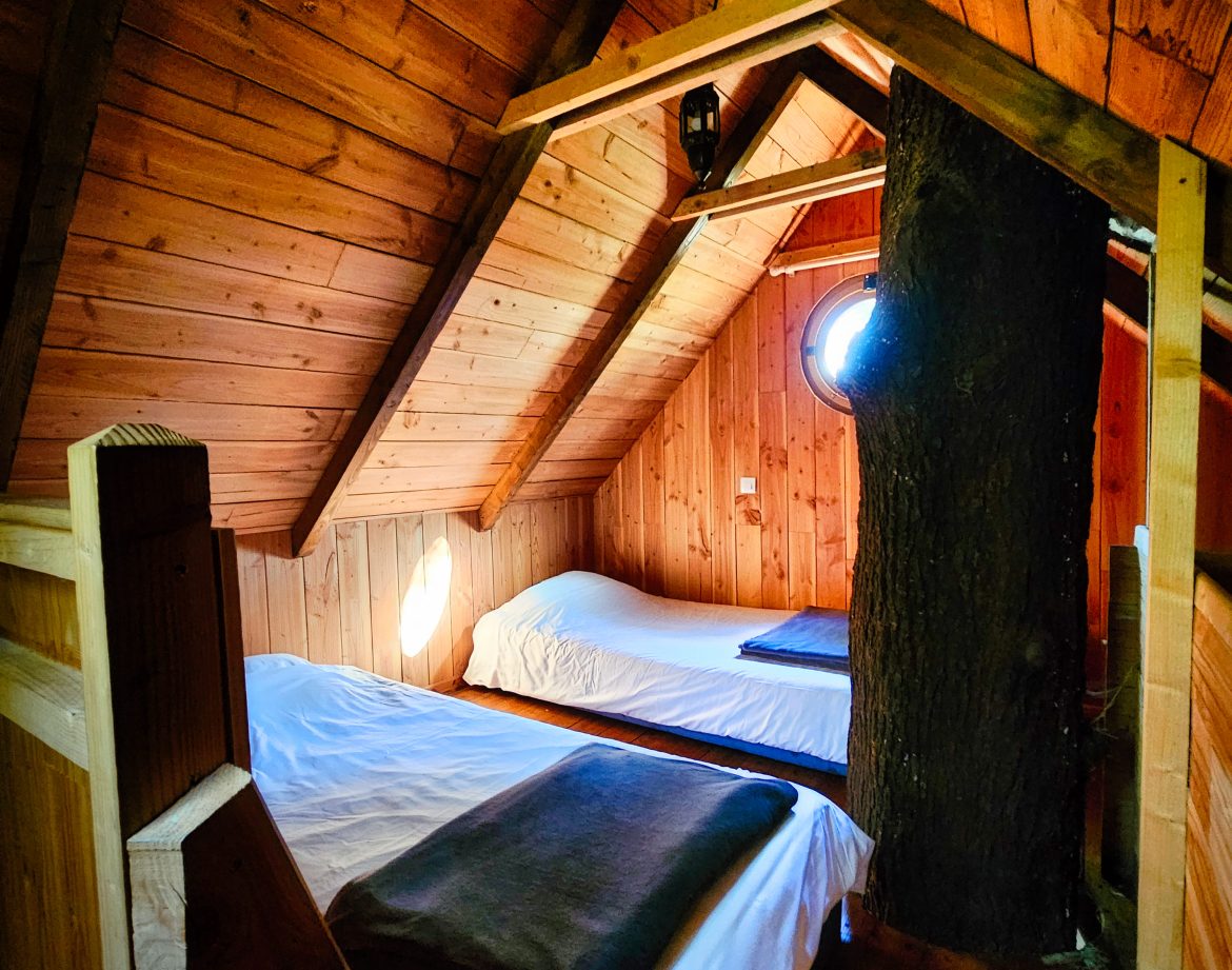 Chalet en bois dans les arbres, avec un arbre traversant la chambre.