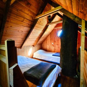 Chalet en bois dans les arbres, avec un arbre traversant la chambre.