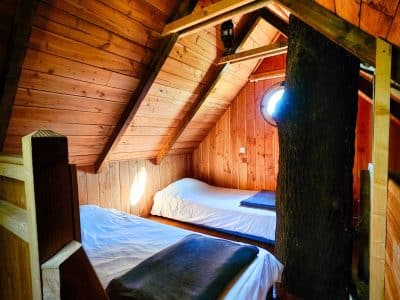 Chalet en bois dans les arbres, avec un arbre traversant la chambre.