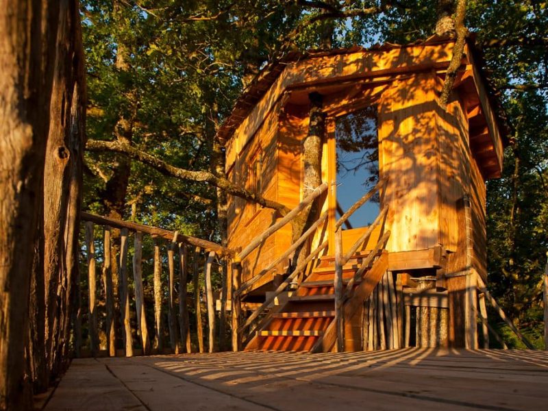 Cabane perchée en bois dans les arbres, baignée de lumière dorée au coucher du soleil.