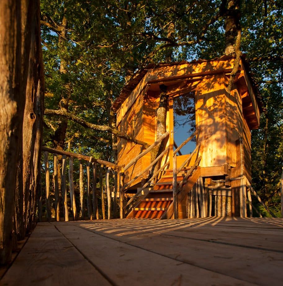 Cabane perchée en bois dans les arbres, baignée de lumière dorée au coucher du soleil.