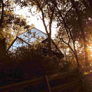 Cabane en bois au milieu des arbres, baignée par la lumière dorée du soleil couchant.