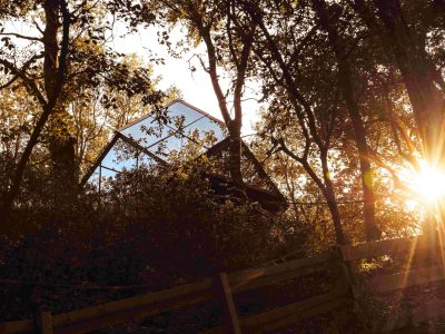 Cabane en bois au milieu des arbres, baignée par la lumière dorée du soleil couchant.