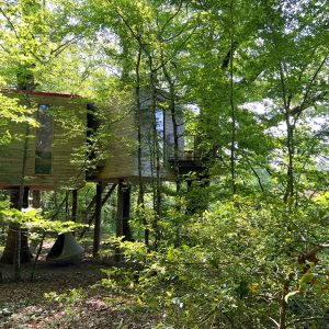 Cabane perchée en bois, entourée darbres verdoyants en Bourgogne.