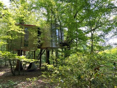 Cabane perchée en bois, entourée darbres verdoyants en Bourgogne.