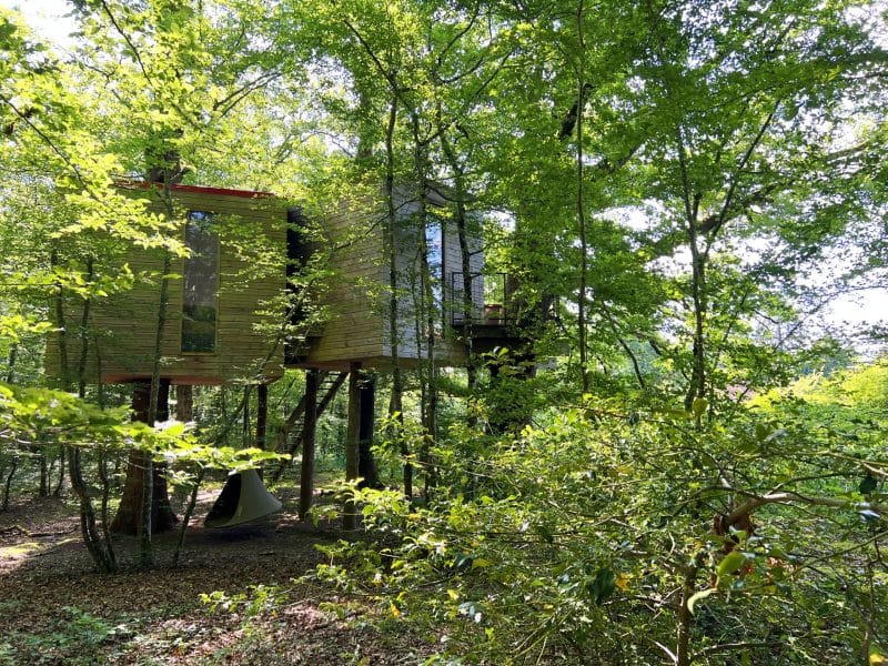 Cabane dans les arbres, perchée au milieu dune forêt verdoyante et lumineuse.