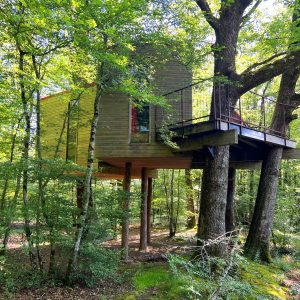 Cabane perchée dans les arbres, entourée de verdure en Bourgogne.
