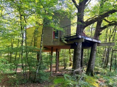 Cabane perchée dans les arbres, entourée de verdure en Bourgogne.