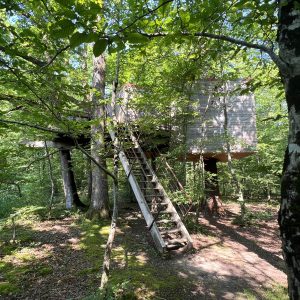 Cabane perchée en Bourgogne, entourée darbres verdoyants et accessible par une échelle.