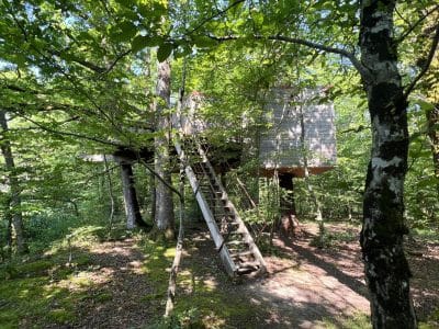 Cabane perchée en Bourgogne, entourée darbres verdoyants et accessible par une échelle.
