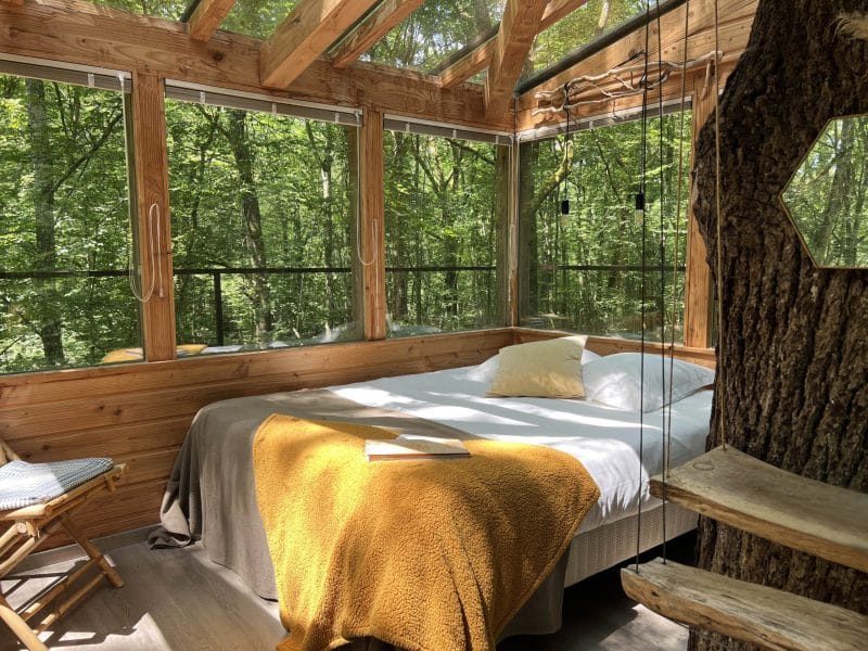 Cabane en bois avec lit confortable et vue sur la forêt verdoyante.