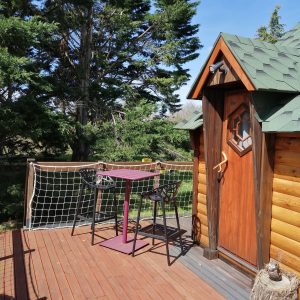 Cabane en bois avec terrasse et mobilier moderne, entourée de verdure.