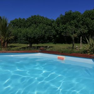 Hébergement insolite en Midi-Pyrénées avec piscine turquoise et verdure environnante.