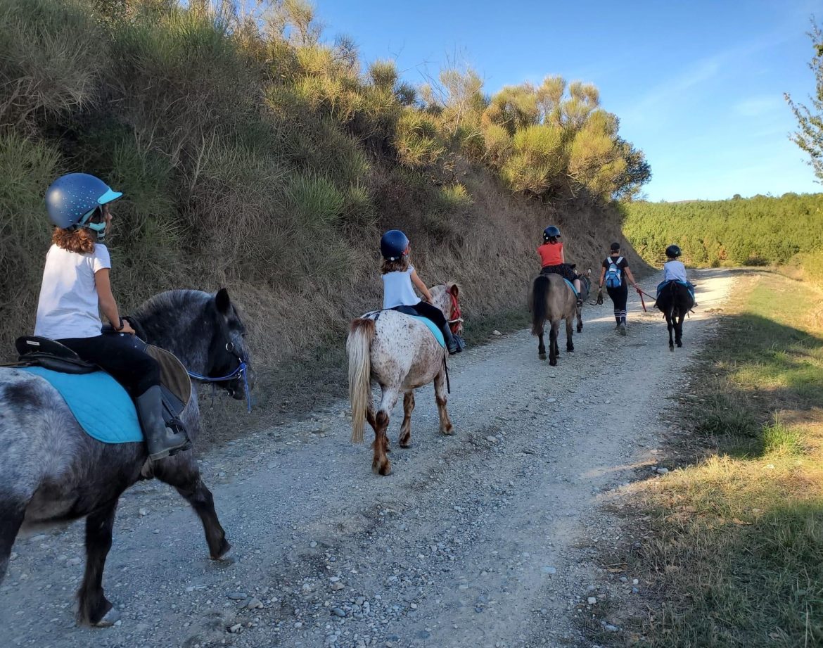 Balade à poney dans un hébergement insolite en Languedoc-Roussillon, nature verdoyante.