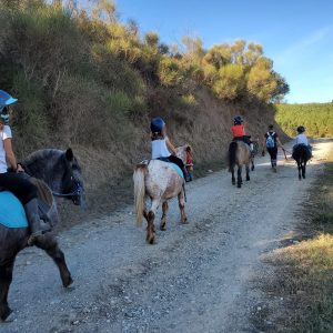 Balade à poney dans un hébergement insolite en Languedoc-Roussillon, nature verdoyante.