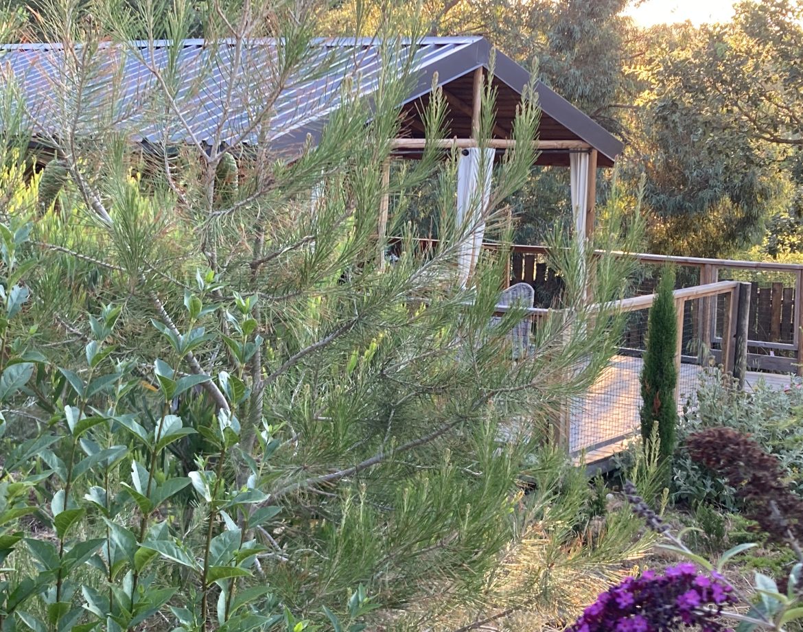 Cabane perchée en Languedoc-Roussillon, entourée de verdure et fleurs colorées.