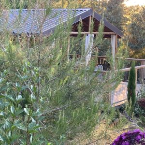 Cabane perchée en Languedoc-Roussillon, entourée de verdure et fleurs colorées.