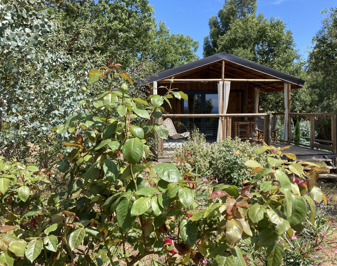 Cabane en bois dans la nature, entourée de verdure et dun joli jardin fleuri.