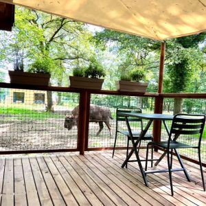 Cabane en bois avec terrasse, vue sur un espace naturel et un animal paisible.