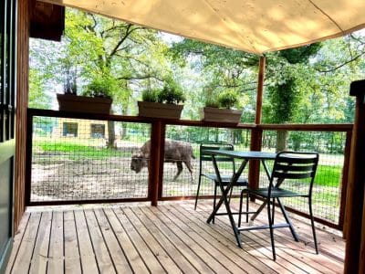 Cabane en bois avec terrasse, vue sur un espace naturel et un animal paisible.