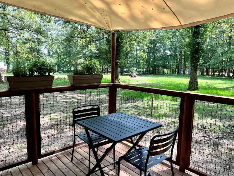 Cabane perchée en Auvergne-Rhône-Alpes, avec terrasse en bois et vue sur la forêt.