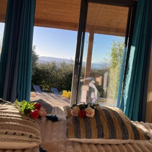 Chalet en bois avec vue sur la nature, décoré de coussins et fleurs.
